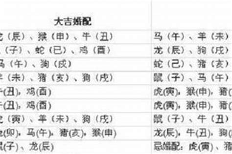 1997属什么|1997年属什么属相 1997年属什么生肖